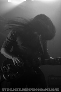 alcest (3)