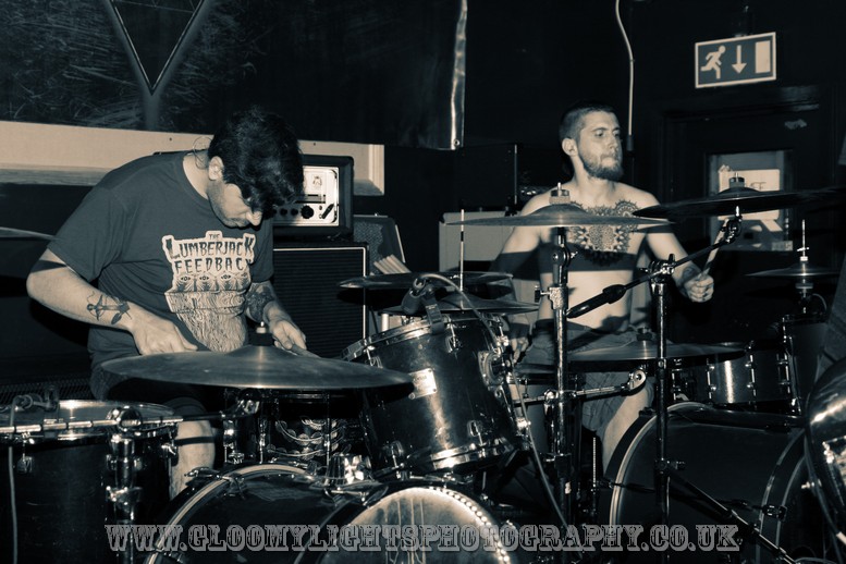 LumberjackFeedback (2)