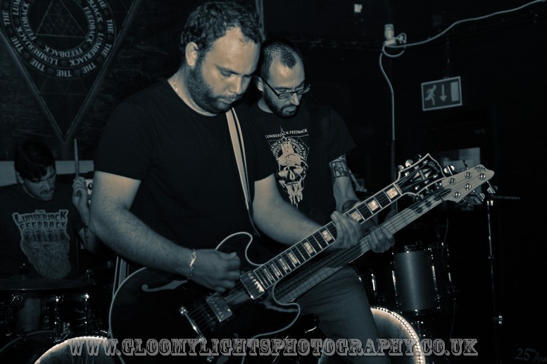 LumberjackFeedback (9)