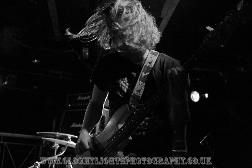 pet the preatcher  (35)