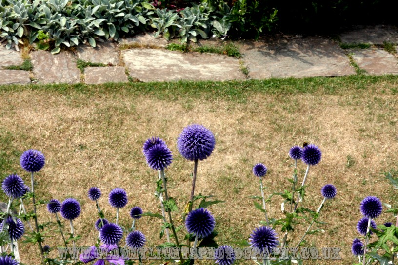 nickkarinawedding (1)