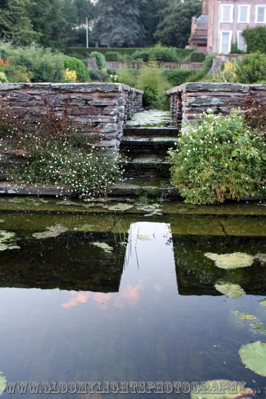 nickkarinawedding (100)