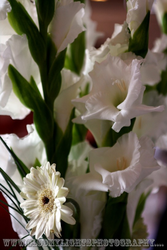 nickkarinawedding (18)