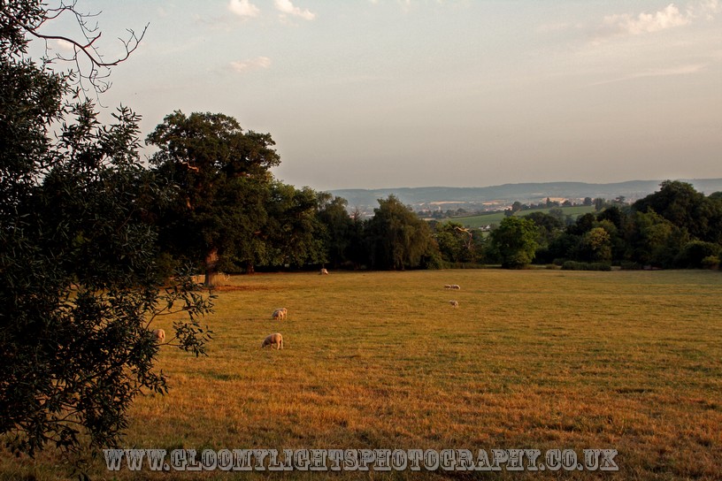 nickkarinawedding (79)