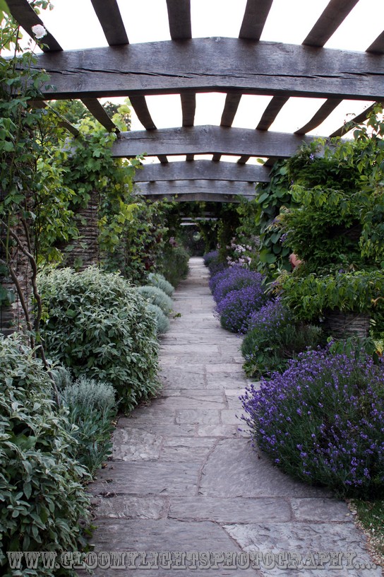 nickkarinawedding (96)