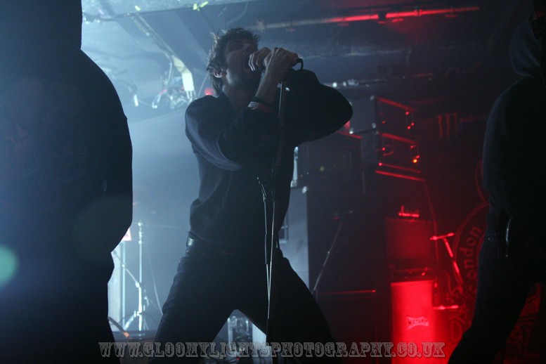 draggedintosunlight (19)