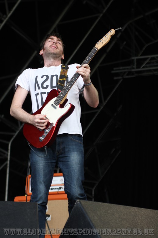 3 trapped tigers (3)